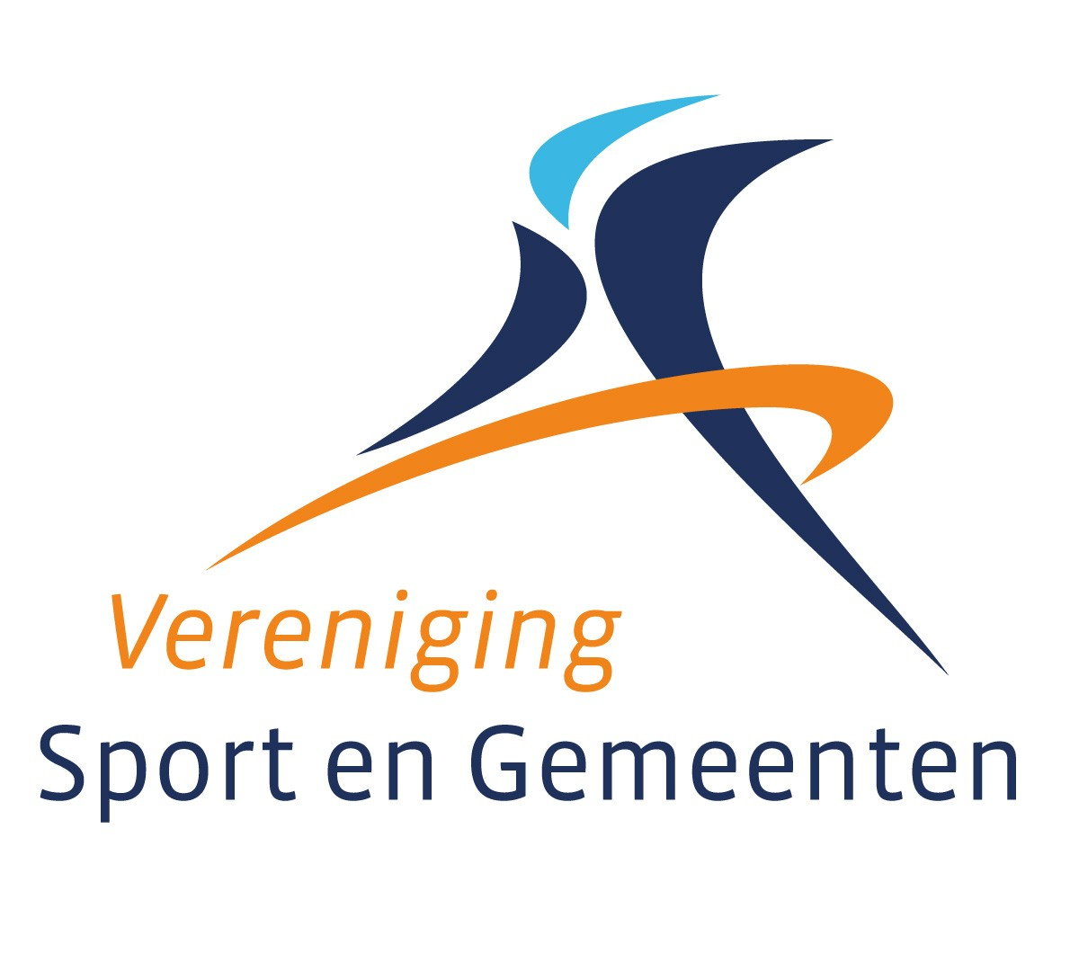VSG Logo